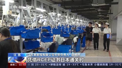 前7個月我國外貿運行平穩，貨物貿易進出口總值達23.55萬億元